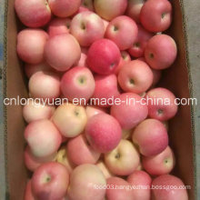 20kg Carton New Fresh Red Gala Apple